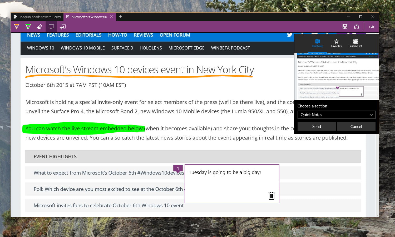 Pricey Microsoft: please carry web notes to edge on windows 10 cell