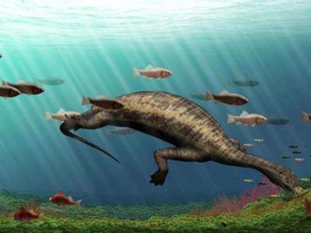 Fossils of first plant-ingesting marine reptile located