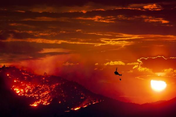 Blazing forest fire in south France evacuates thousands as flames head for Marseilles