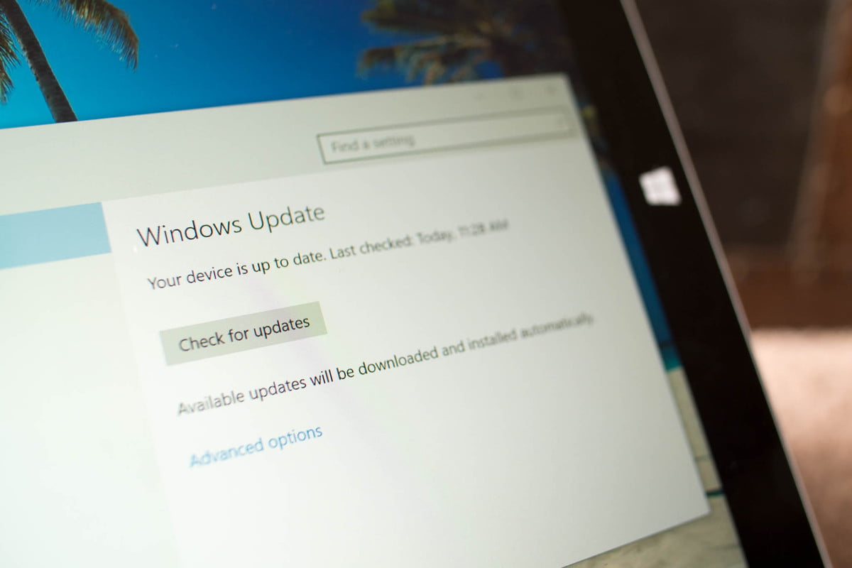 Windows 10 build 14393.576 rolling out on PC and Mobile for Release Preview and Production rings