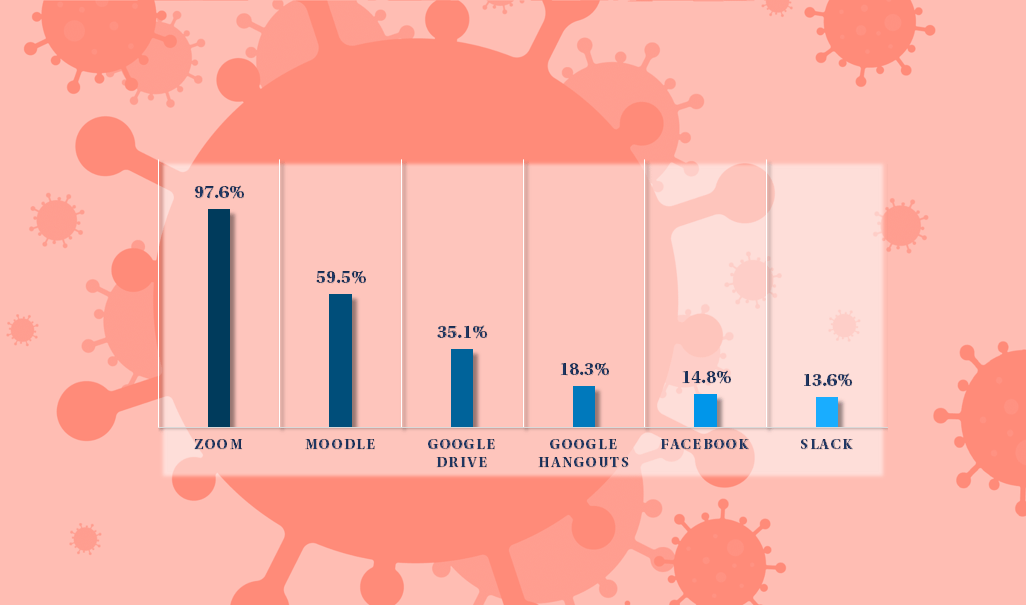 Virtual learning survey some interim findings